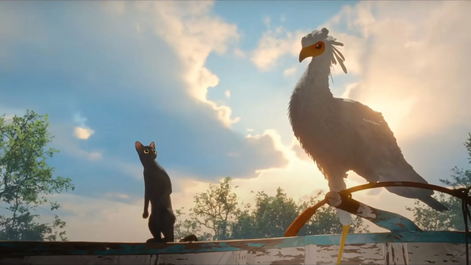 Black cat standing up on the brink of a boat next to a large secretary bird